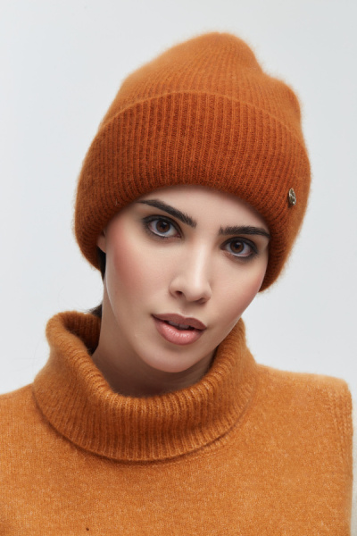 230143REC кэмл (1)