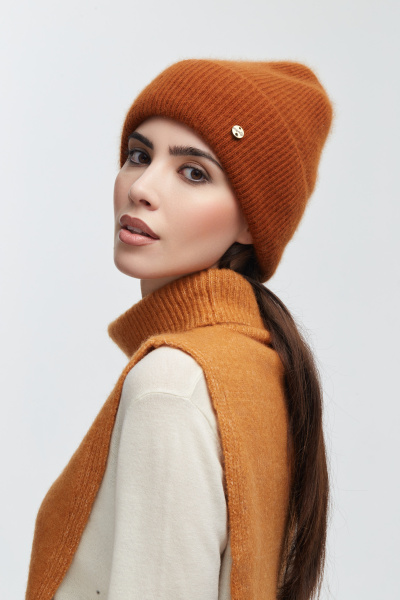 230143REC кэмл (2)